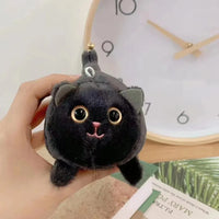black cat