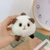 white cat